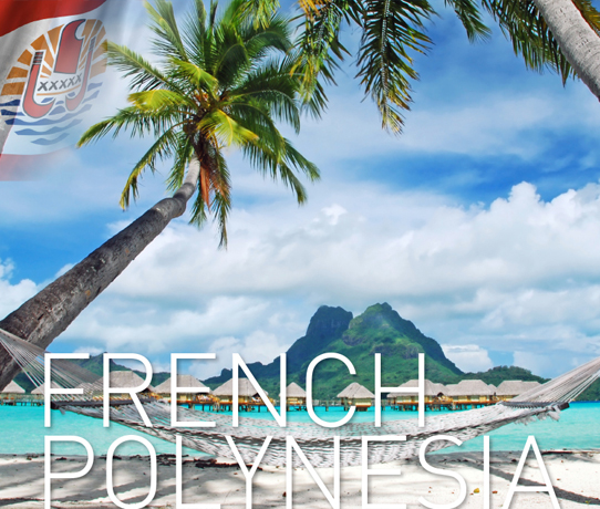 HPP-French-Poly-542x469