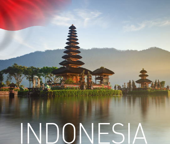 HPP-Indonesia-542x469