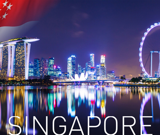 HPP-Singapore-542x469