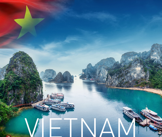 HPP-Vietnam-542x469